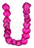 Pink Clematis petals forming letter U