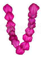 Pink Clematis petals forming letter V