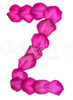 Pink Clematis petals forming letter Z