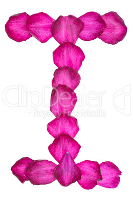 Pink Clematis petals forming letter I