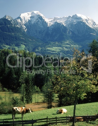 Alpen