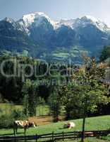 Alpen