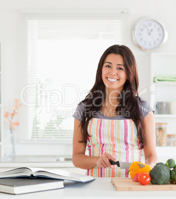 Charming woman consulting a notebook while cooking vegetables