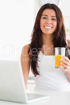 Lovely woman relaxing with her laptop while holding a glass of o