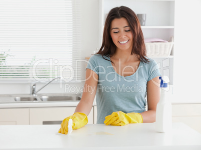 Beautiful woman doing the housework