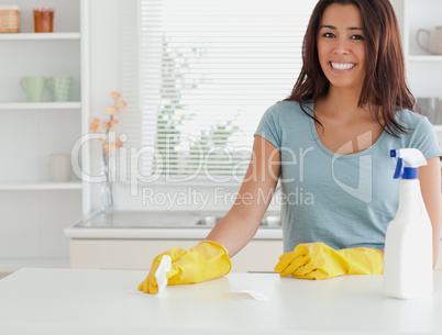 Good looking woman doing the housework