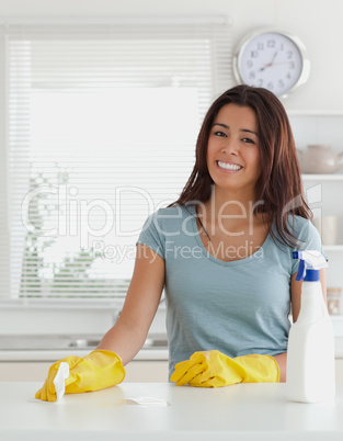 Pretty woman doing the housework