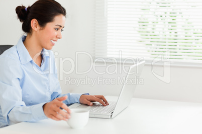 Charming woman relaxing with her laptop while enjoying a cup of