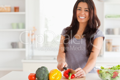 Gorgeous woman cooking vegetables while standing