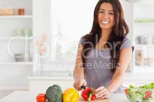 Gorgeous woman cooking vegetables while standing