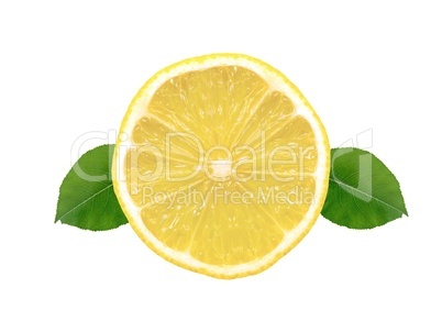 Citrus Fruit