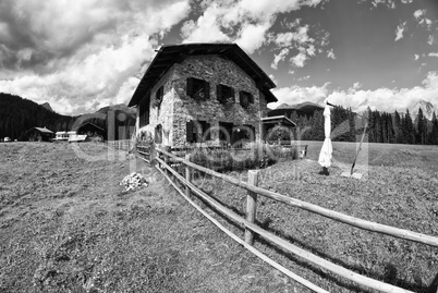 Meadows of Val Visdende, Italy