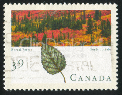 postage stamp