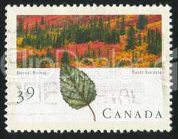 postage stamp