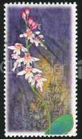 postage stamp