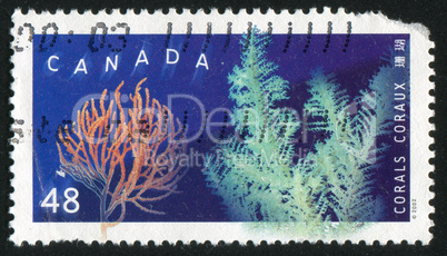 postage stamp