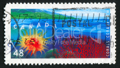 postage stamp