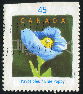 postage stamp postage stamp