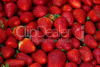 Erdbeeren