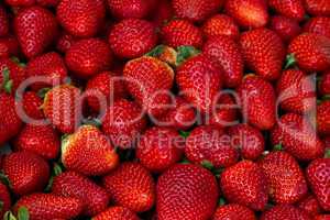 Erdbeeren