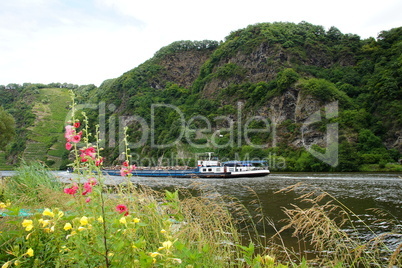 Schrottschiff auf der Mosel