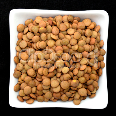 lentil in a white bowl isolated on black