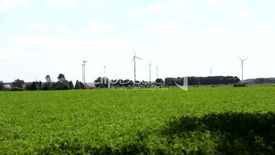 Windräder zur Stromerzeugung bei Berlin