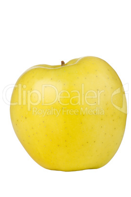 Golden Delicious Apple