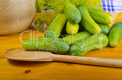 Polish garlic cucumbers (ingredients)