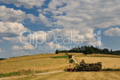 Harvest in mountain