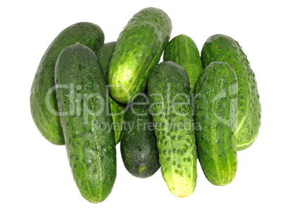 Cucumbers.