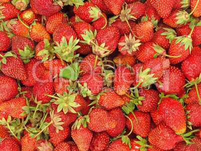 Fresh strawberry.