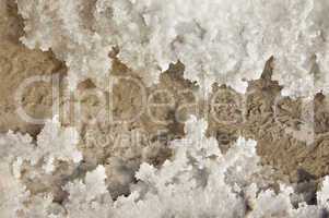 Crystallized salt