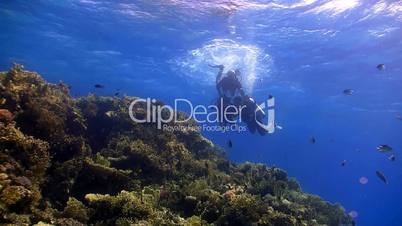 master diver teaches students to dive, red sea