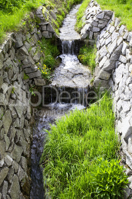 mountain stream running through a forest