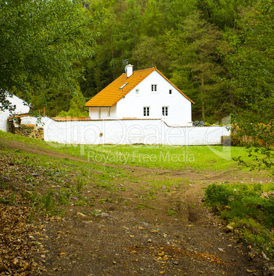 beautiful house in the green wood