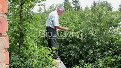 man harvests