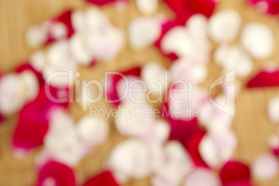 Rose petals