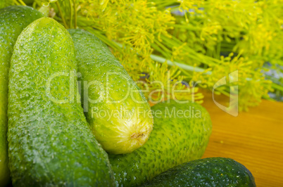 Polish garlic cucumbers (ingredients)