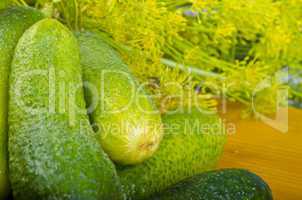 Polish garlic cucumbers (ingredients)