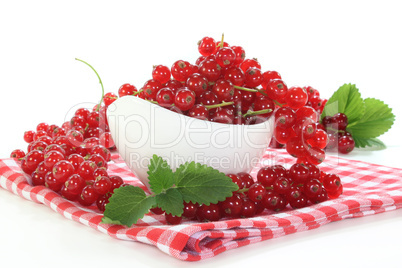 Johannisbeeren