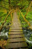 wooden bridge over a mountain stream in the woods
