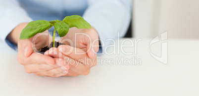 Woman holding a little plant