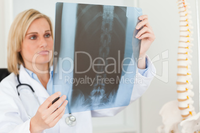 Sad looking doctor looking at x-ray