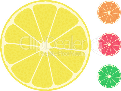 isolated citrus fruit. Orange, lemon, lime, grapefruit