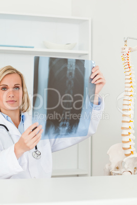 Sad looking doctor holding x-ray looking into camera