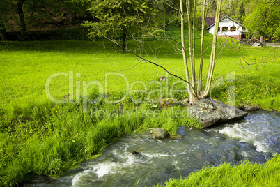 mountain stream on a background of the house in the green wood