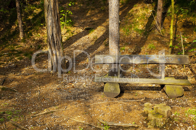 lone wooden bench in the woods