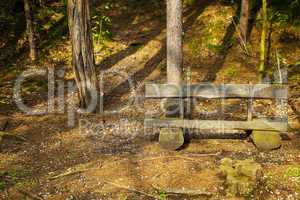 lone wooden bench in the woods