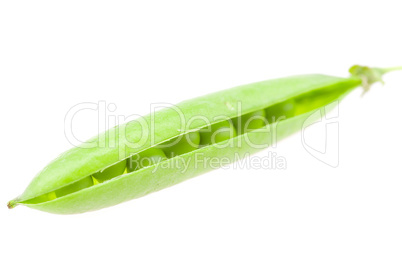 peas isolated on white